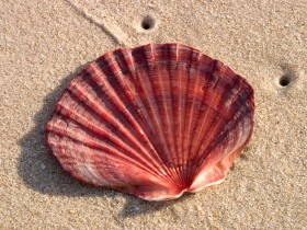 1397854-375f5e49cb5cafa3_1_