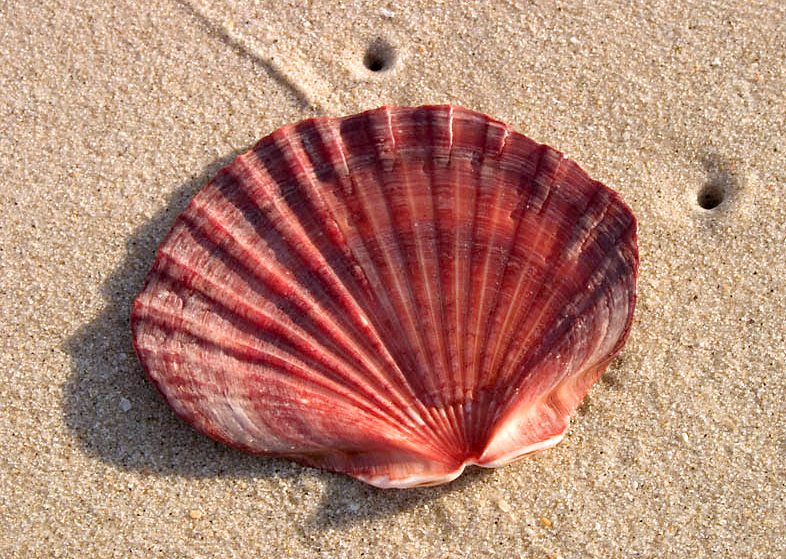 1397854-375f5e49cb5cafa3_1_