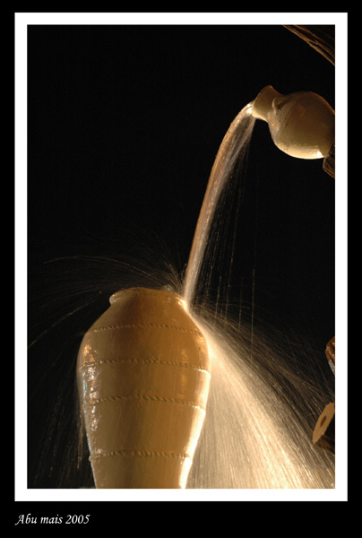 صور من ابداع اعضاء عمان فوتو