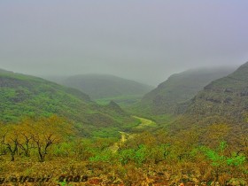 صور من ابداع اعضاء عمان فوتو