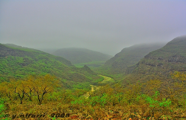 صور من ابداع اعضاء عمان فوتو