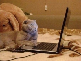 1 51