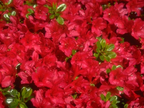 PTBL0160