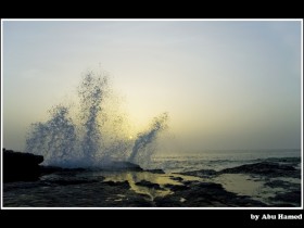 صور من ابداع اعضاء عمان فوتو