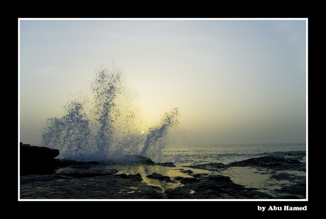 صور من ابداع اعضاء عمان فوتو