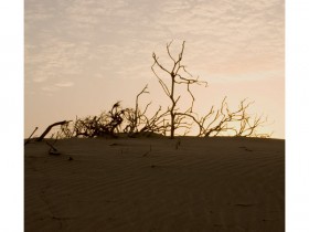 صور من ابداع اعضاء عمان فوتو