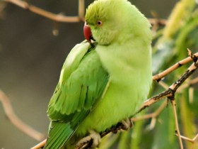 صور من ابداع اعضاء عمان فوتو