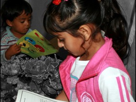صور من ابداع اعضاء عمان فوتو