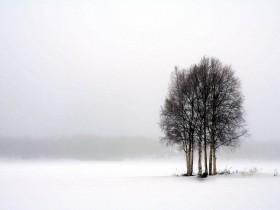 صور منوعة من الإنترنت