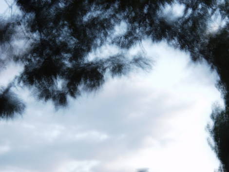 صور منوعة من الإنترنت