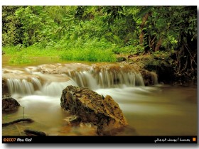 صور من ابداع اعضاء عمان فوتو