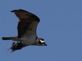 صور منوعة من الإنترنت