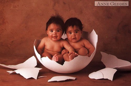 babyineggs