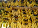 thai-market-j84g_small