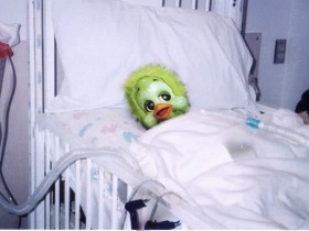 BirdFlu_2ejpg