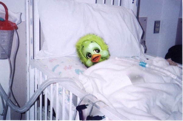 BirdFlu_2ejpg