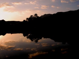 صور من ابداع اعضاء عمان فوتو