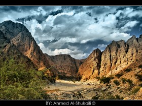 صور من ابداع اعضاء عمان فوتو