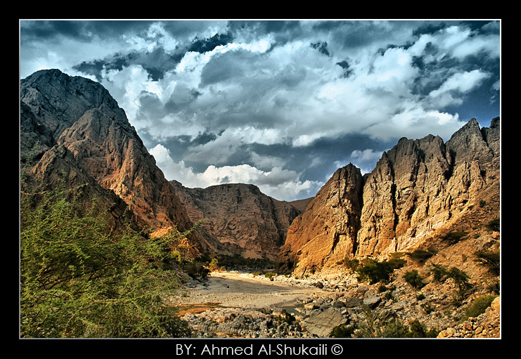 صور من ابداع اعضاء عمان فوتو