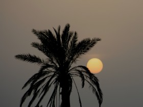 صور من ابداع اعضاء عمان فوتو