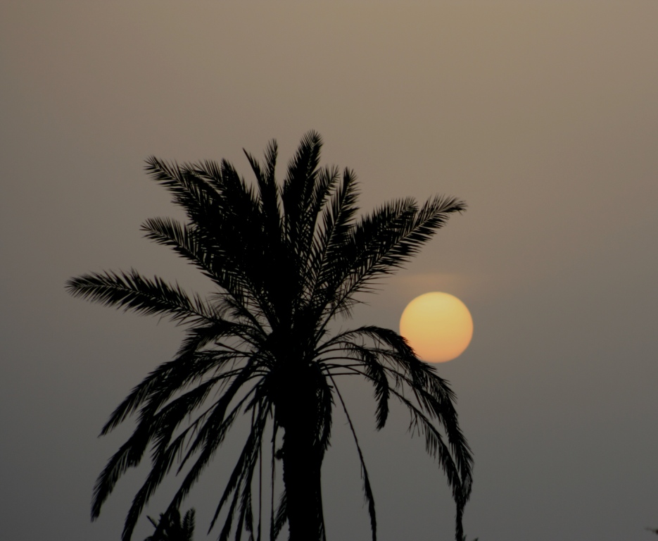 صور من ابداع اعضاء عمان فوتو