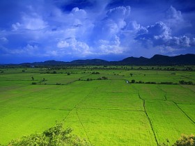 صور من ابداع اعضاء عمان فوتو