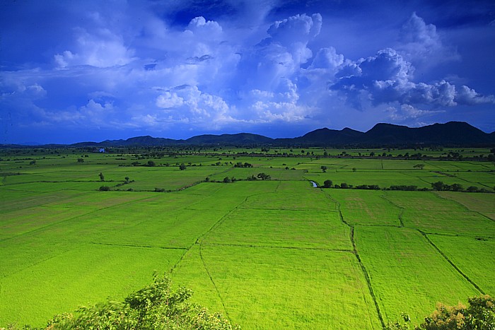 صور من ابداع اعضاء عمان فوتو