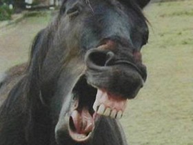 صور منوعة من الإنترنت