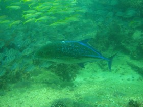 IMG_00761