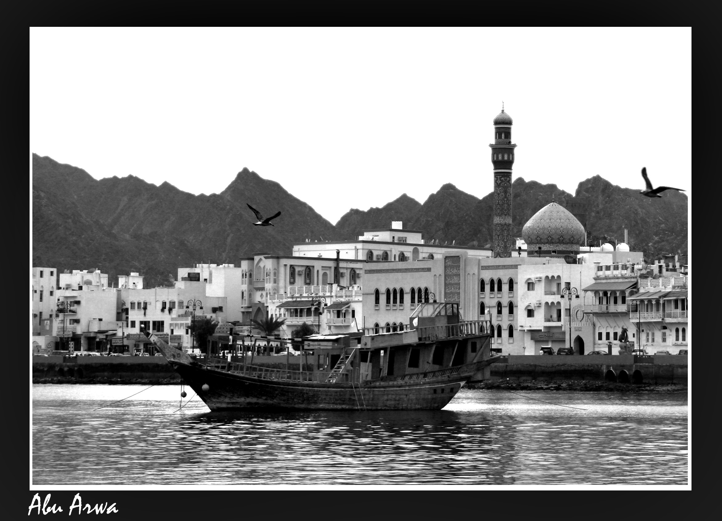 صور من ابداع اعضاء عمان فوتو