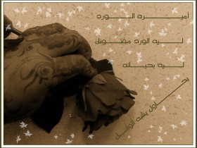 صور من ابداع اعضاء عمان فوتو