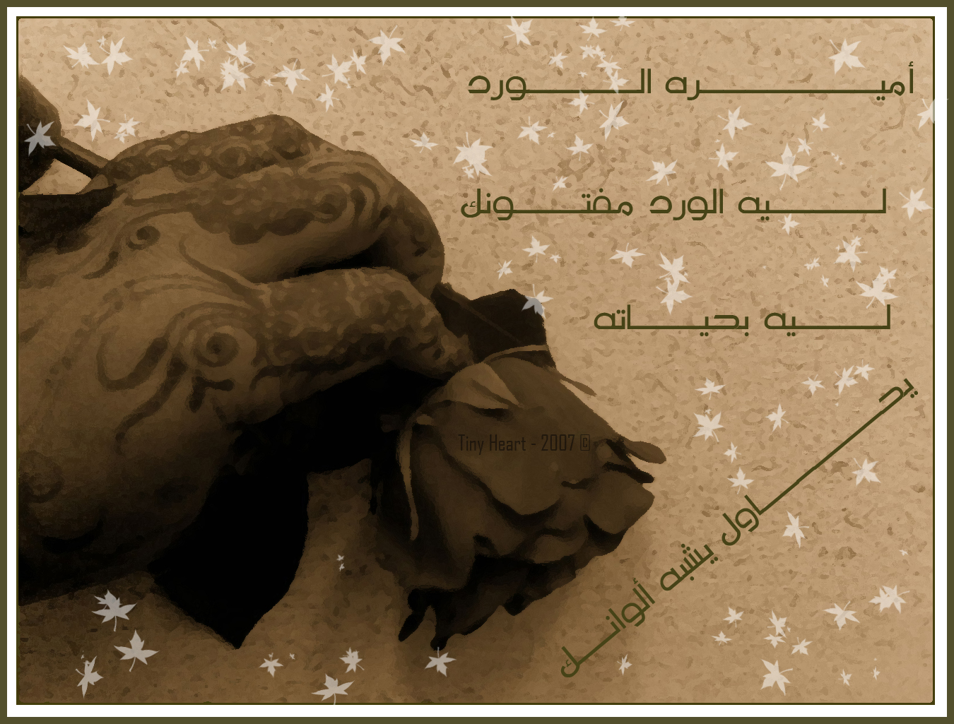 صور من ابداع اعضاء عمان فوتو