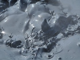 صور منوعة من الإنترنت