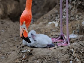 صور منوعة من الإنترنت