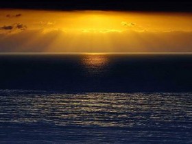 صور منوعة من الإنترنت