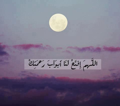 601465_10151302456045866_585068798_n