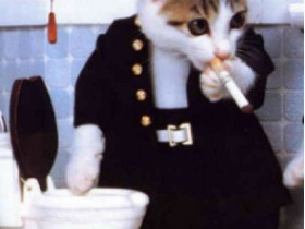 cat-smoking_1_