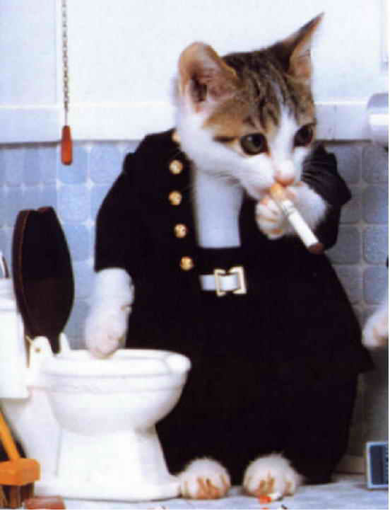 cat-smoking_1_
