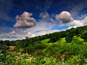 1209379229_21_04_2008_08619740012087_1_