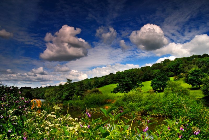 1209379229_21_04_2008_08619740012087_1_