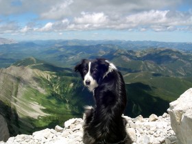 image0192
