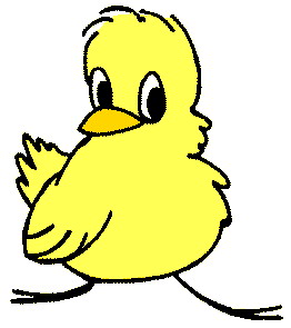 CHICK_1_1_