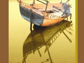 صور من ابداع اعضاء عمان فوتو