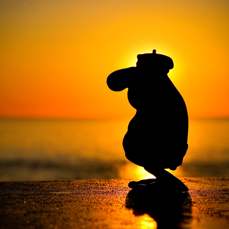 صور منوعة من الإنترنت