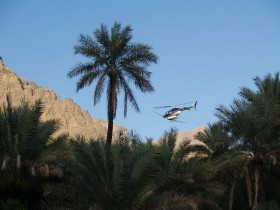 2011 رش النخيل