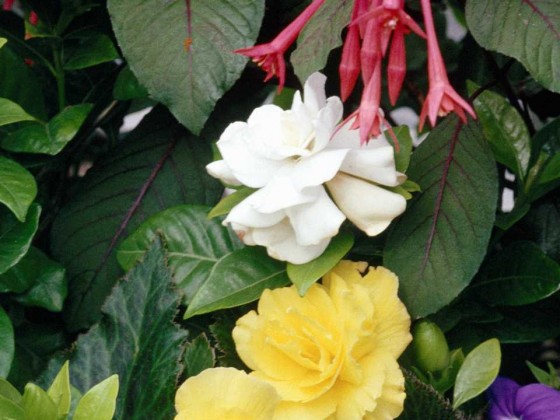 PTBL0049