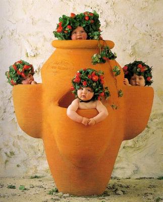Baby-052