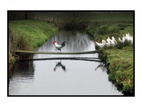image0067