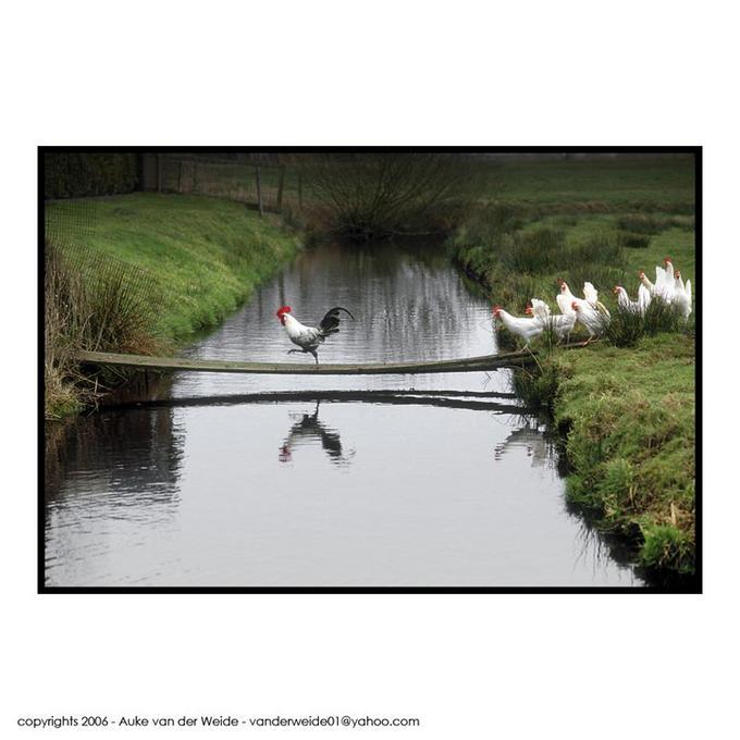 image0067