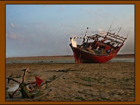 صور من ابداع اعضاء عمان فوتو